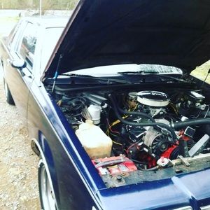 Meet your Posher, Oliver